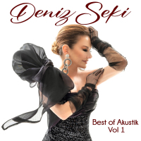 DENİZ SEKİ - APTAL