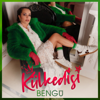 BENGÜ - KÜL KEDİSİ