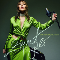 ZİYNET SALİ - SANA DOYAMIYORUM