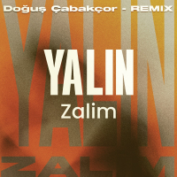 YALIN - ZALIM
