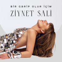 ZİYNET SALİ - BİR GARİP OLUR İÇİM