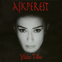 YILDIZ TİLBE - EL ADAMI
