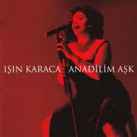 IŞIN KARACA - AŞKTAN NABER