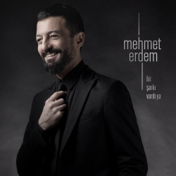 MEHMET ERDEM - BİR ELMANIN YARISI