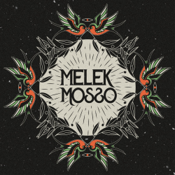 MELEK MOSSO - KARANFİL